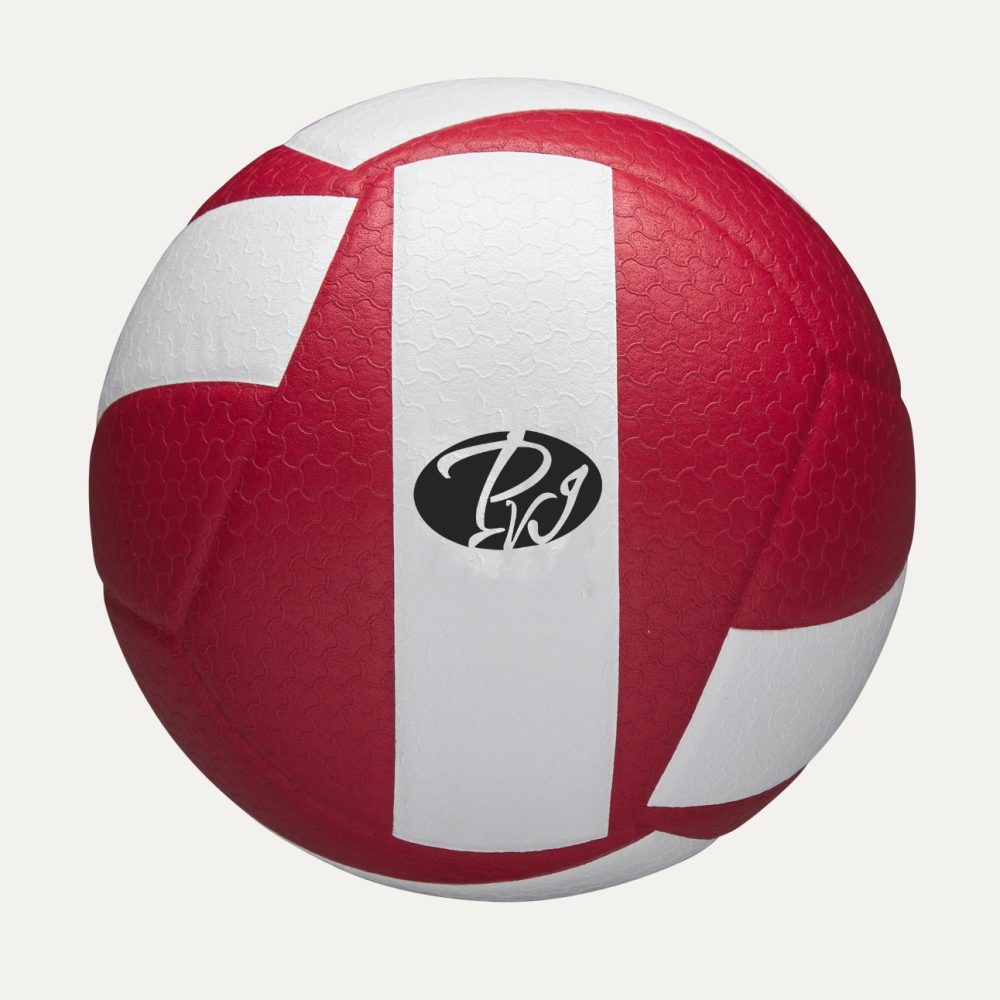 Volley Ball